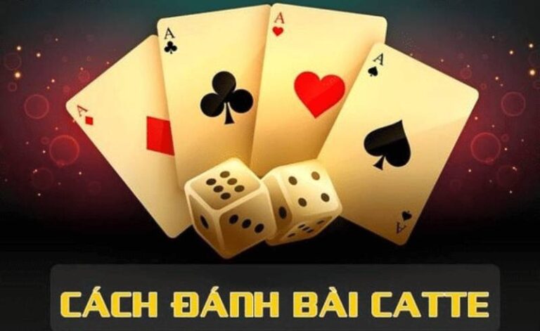 Catte Là Gì? Hướng Dẫn Chi Tiết Từ A Đến Z Cho Người Mới 22 Catte Là Gì? Hướng Dẫn Chi Tiết Từ A Đến Z Cho Người Mới